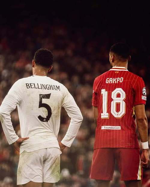 Tỷ Lệ Cược Trực Tiếp (Live Odds)